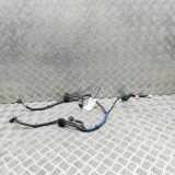 Kabelbaum Kia Optima IV SW (JF) 91890D4250