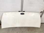 Motorhaube FORD TRANSIT Furgon (FA_ _) 2.4 DI (FAA_, FAB_, FAC_, FAD_)