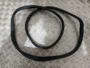 Türgummi rechts hinten BMW X6 (E71, E72) 7234933