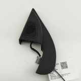 Türlautsprecher vorne links