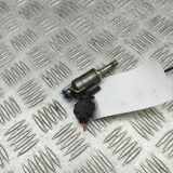 Düsenstöcke Peugeot RCZ () 7591623