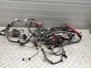 Motor Kabelbaum AUDI A8 D2 (4D2, 4D8) S8 quattro 4H0971224AT