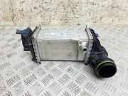 Ladeluftkühler AUDI A1 Sportback (GBA) 30 TFSI 05C145785D