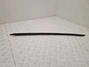 Windlauf Audi A4 Allroad (8W, B9) 8W0854327C