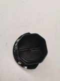 Frischluftgrill MERCEDES-BENZ C (W205) C 220 BlueTEC / d (205.003) A2058304300