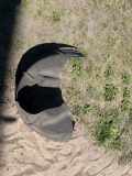 Radhaus links hinten Ford Focus C-Max (C214) R278B51AJ