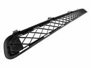 Gitter vorne unten TOYOTA RAV 4 III (_A3_) 2.2 D 4WD (ALA30_) 5311242040