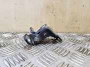 Türscharnier hinten links Renault Grand Scenic III (JZ) 804010016RB