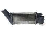 Ladeluftkühler PEUGEOT 5008 2.0 HDi 150 / BlueHDi 150 R1402004