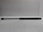 Heckklappendämpfer rechts Ford Focus (DAW, DBW) 4M51A406A10AB