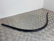 Türgummi links vorne Peugeot Expert III Kasten (V)