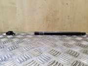 Gasfeder für Motorhaube Subaru Forester (SH)