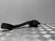 Fahrpedal Citroen C3 Picasso (SH) 0280755045