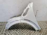 Kotflügel links vorne Mini Mini Countryman (R60)