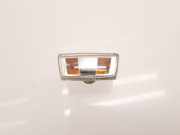 Blinker rechts vorne Opel Insignia A Sports Tourer (G09) 13252455