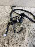 Kabel Tür Nissan Juke (F15)