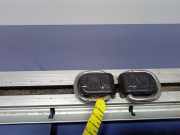 Zierleiste BMW X5 (E70) 7146025