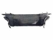 Ladeluftkühler NISSAN NP300 NAVARA (D40) 3.0 dCi 4WD
