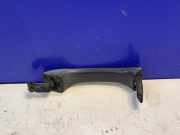 Türaußengriff hinten rechts