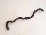 Kühlerschlauch Renault Grand Scenic III (JZ) 924000014R