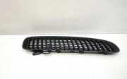 Gitter BMW X5 (E53) 3.0 d 7113728