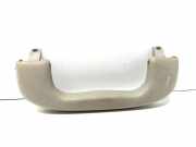 Dachgriff hinten links