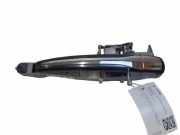 Türgriff links hinten Citroen C5 III (RD)