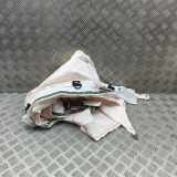 SRS Modul Dach links AUDI A6 C8 Avant (4A5) RS6 Mild Hybrid quattro 4K9880741D