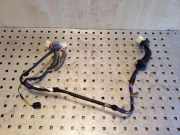 Türverkabelung hinten links