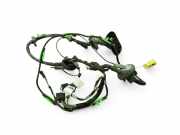 Kabel Tür vorne rechts AUDI A6 Avant (4F5, C6) 3.0 TDI quattro