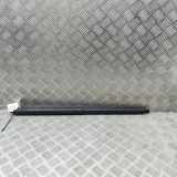 Heckklappe Gasdruckfeder links TESLA MODEL S P100D AWD 6006611-00-B