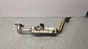 AGR-Kühler SUBARU FORESTER (SH_) 2.0 D AWD (SHH) 25B9A000026