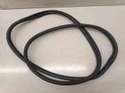 Türdichtung BMW 1er (F40)