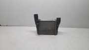 Ladeluftkühler AUDI A4 Avant (8ED, B7) 1.9 TDI 8E0145805S
