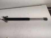 Heckklappe Gasdruckfeder rechts OPEL ZAFIRA A (F75_) 2.0 DTI 16V 905794400512