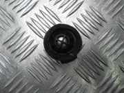 Türlautsprecher vorne links