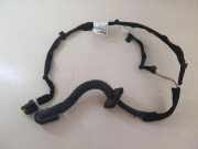Türverkabelung hinten rechts RENAULT CLIO II (BB0/1/2_, CB0/1/2_) 1.5 dCi (B/CB08) 8200715661F