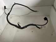 Kabelbaum Audi A6 (4F, C6) 8E0971349J