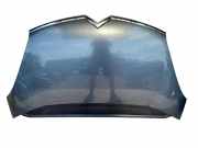 Motorhaube CITROËN C4 Grand Picasso I (UA_) 2.0 HDi 138