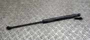 Heckklappe Gasdruckfeder links RENAULT CAPTUR (J5_) 1.5 dCi 110 844301324R