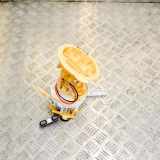 Kraftstofftankpumpe AUDI A4 Allroad (8WH, B9) 2.0 TDI quattro A2C85391100 8W0919088H