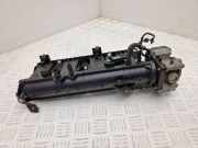 Ansaugbrücke RENAULT MEGANE IV (B9A/M_) 1.2 TCe 130 (B9MR) H8201171233
