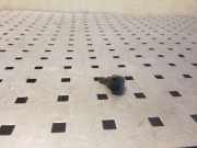 Scheibenwaschdüse Mitsubishi ASX (GA)