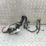 Motor Kabelbaum VW ID.3 (E11) Pro 1EA971445