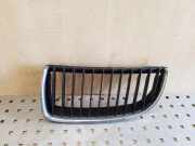 Vorderer oberer Gitter BMW 3 Touring (E91) 320 d