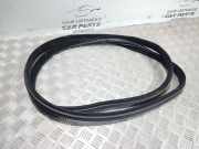 Türgummi rechts vorne Jaguar XF (X250)