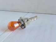 Glühlampe Xenon VW Passat B7 Alltrack (36, B7)