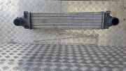 Ladeluftkühler VOLVO V60 D3 / D4 31319423