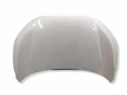 Motorhaube HONDA CIVIC X Hatchback (FC_, FK) 1.0 VTEC (FK6)