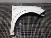 Kotflügel vorne rechts DACIA SANDERO 1.6 MPI 85